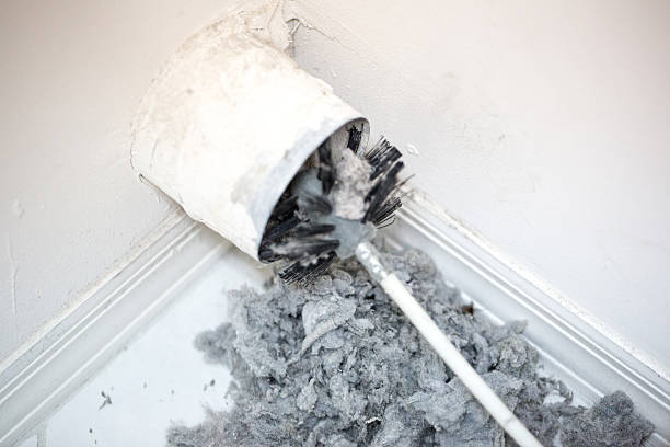 Best Air Duct Sanitizing Services  in Charlotte Harbor, FL